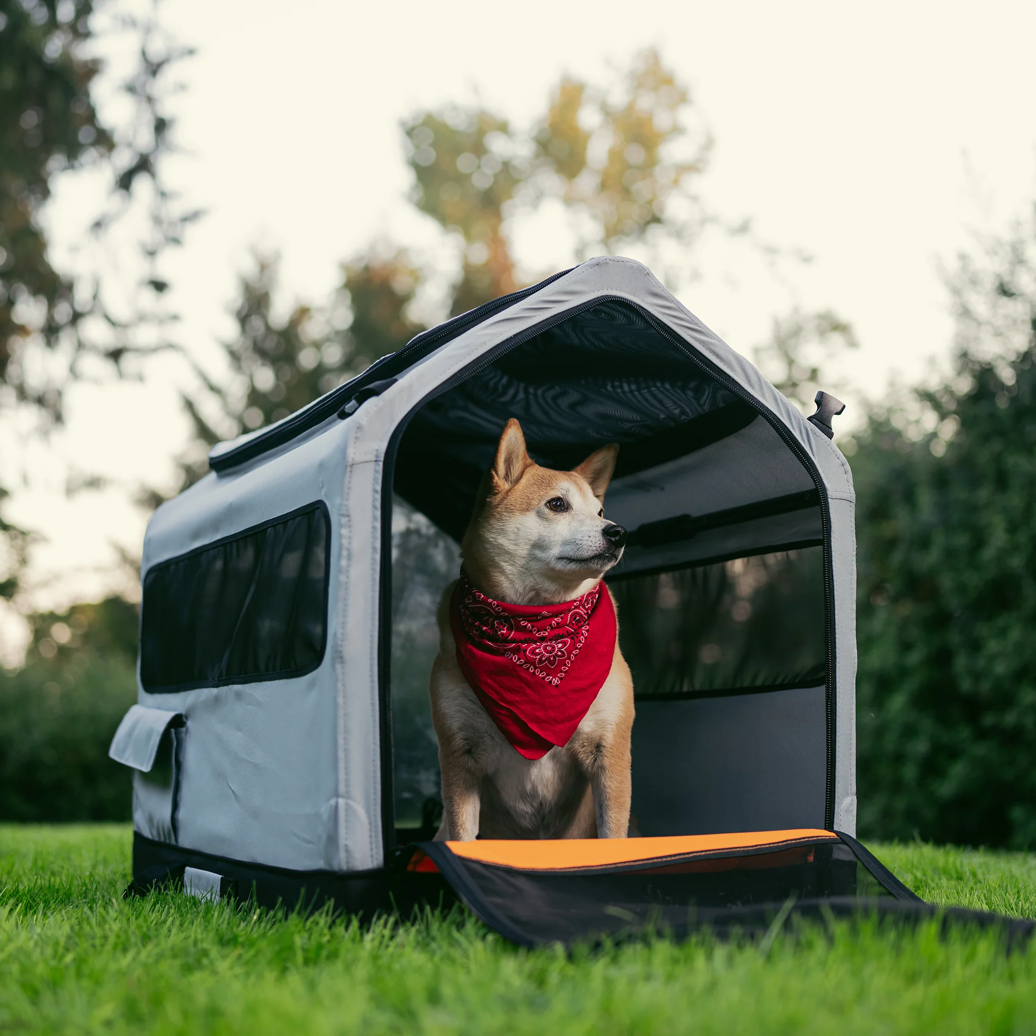 Rad Trailer Pet Insert - Image 11